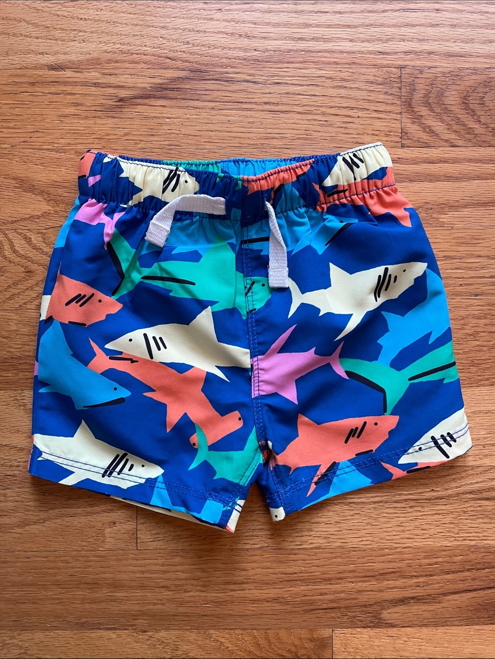 Hanna Andersson Swim Trunks